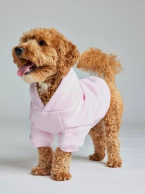 Minimalist Paw Hoodie: Theo is wearing a size M