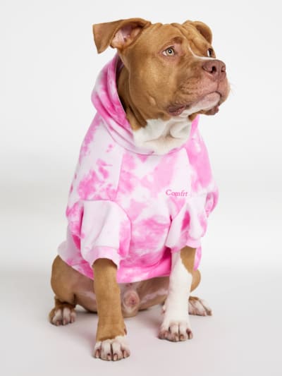 Hollie and LunaBelle_theboxer
